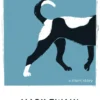 A Dog's Tale