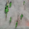 AlbumCD 12 CM LP Agor