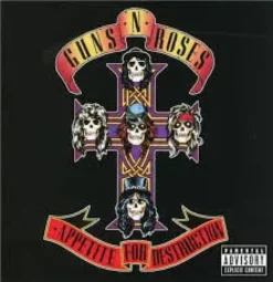 AlbumCD 12 CM LP Appetite For Destruction