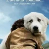 AlbumCD 12 CM LP Belle et Sebastien : L'aventure continue (Bande originale du film)