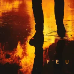 AlbumCD 12 CM LP Feu