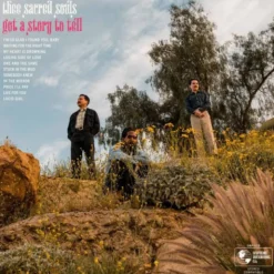 AlbumCD 12 CM LP Got A Story To Tell