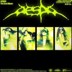 AlbumCD 12 CM LP LEMONADE - The 2nd Album