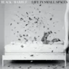 AlbumCD 12 CM LP Life In Small Spaces