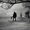 AlbumCD 12 CM LP M.A.N (Black Roses & Lost Feelings)