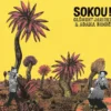 AlbumCD 12 CM LP Sokou