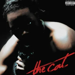 AlbumCD 12 CM LP The Cat