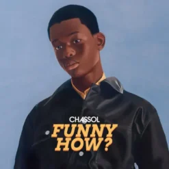 Album2 LP Funny How