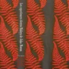 Album2 LP The Electro Maloya Experiments Of Jako Maron