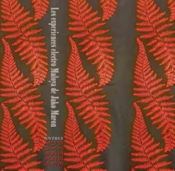 Album2 LP The Electro Maloya Experiments Of Jako Maron