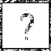Album33 T 30 CM ?