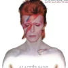 Album33 T 30 CM Aladdin Sane