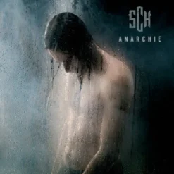 Album33 T 30 CM Anarchie