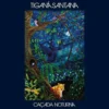 Album33 T 30 CM CACADA NOTURNA (vinyl)