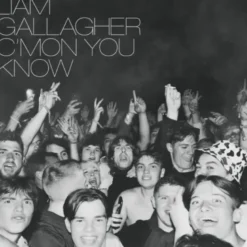 Album33 T 30 CM C'Mon You Know