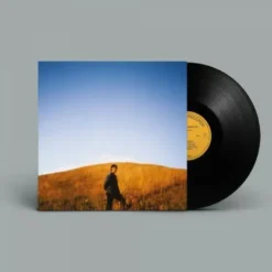 Album33 T 30 CM Dear Departed