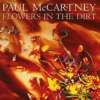 Album33 T 30 CM Flowers In The Dirt