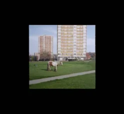 Album33 T 30 CM It Goes On