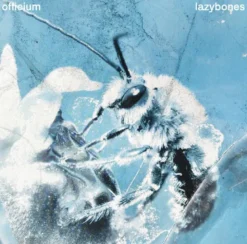 Album33 T 30 CM Lazybones