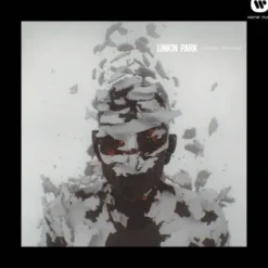 Album33 T 30 CM Living Things