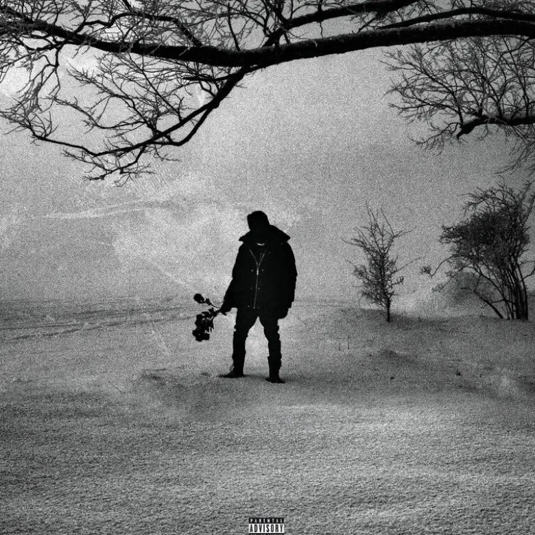 Album33 T 30 CM M.A.N (Black Roses & Lost Feelings)