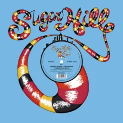 Album45 T (30CM) MAXI Rapper's Delight