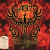 Album33 T 30 CM Meltdown