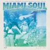 Album33 T 30 CM Miami Soul