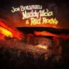 Album33 T 30 CM Muddy Wolf At Red Rocks