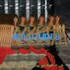 Album33 T 30 CM Multitudes
