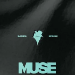 Album33 T 30 CM Muse