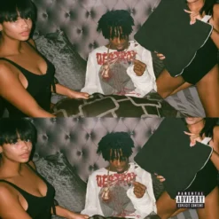 Album33 T 30 CM Playboi Carti