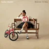 Album33 T 30 CM Reasons To Stay - Vinyle Transparent