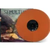 Album33 T 30 CM Sepulquarta