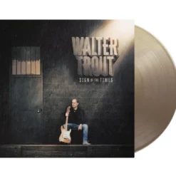 Album33 T 30 CM Sign Of The Times - Édition Limitée - Vinyle Marron Doré