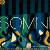 Album33 T 30 CM Somni