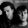 Album33 T 30 CM Songs From The Big Chair