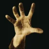 Album33 T 30 CM System Of A Down
