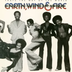 Album33 T 30 CM That's The Way Of The World