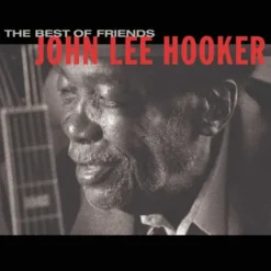 Album33 T 30 CM The Best of Friends