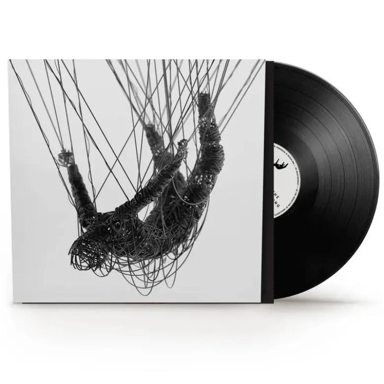 Album33 T 30 CM The Nothing