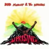 Album33 T 30 CM Uprising