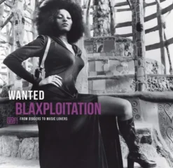 Album33 T 30 CM Wanted Blaxploitation