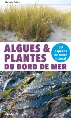Algues et plantes du bord de mer - 50 espèces de notre littoral