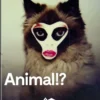Animal?