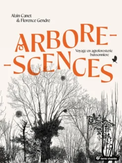 Arborescences