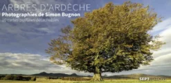 Arbres d'Ardèche - Photographies de Simon Bugnon