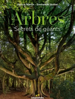 Arbres, secrets de géants
