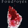 Assoiffés - Tome 2 Foudroyés