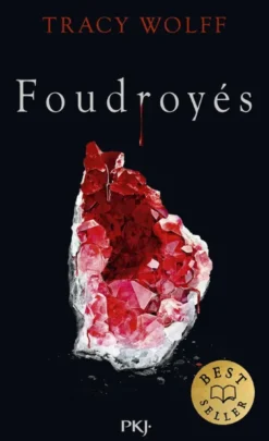 Assoiffés - Tome 2 Foudroyés